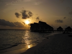 Sundown Wasserbungis