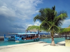 Ob ein Unwetter naht?